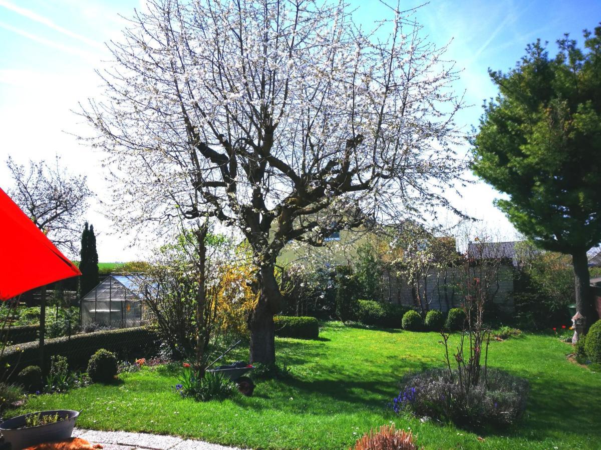 Ferienwohnung Varmissen Nah Bei Goettingen Dransfeld Buitenkant foto